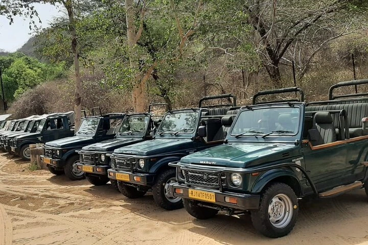 Scenery inside Amagarh Leopard Reserve