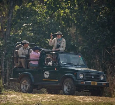 Leopard spotted on a morning safari