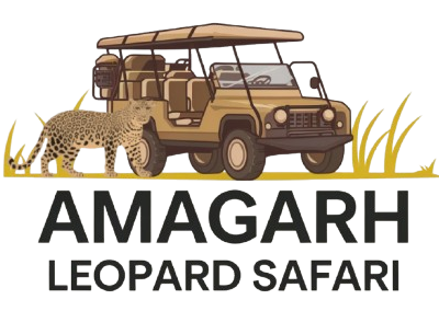 Amagarh Leopard Safari